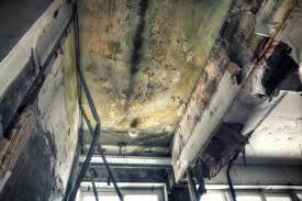 Best Mold Removal for HVAC Installations  in North Hills, NY